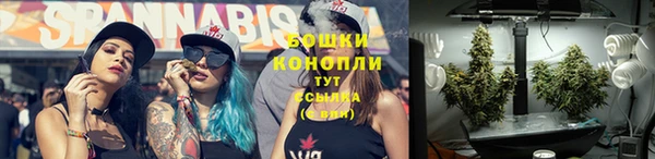 PSILOCYBIN Медвежьегорск