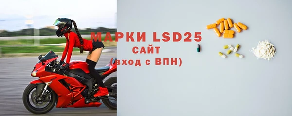 стаф Медногорск