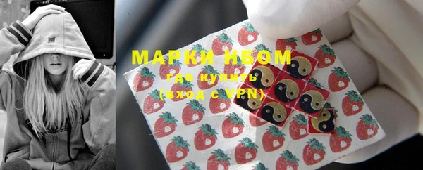 PSILOCYBIN Медвежьегорск