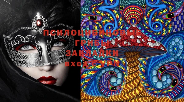 PSILOCYBIN Медвежьегорск